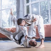 Các môn võ thuật chính của Nhật Bản